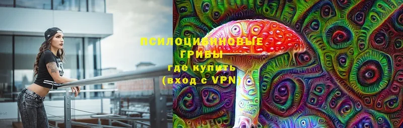 Псилоцибиновые грибы прущие грибы  мега   Ивдель 